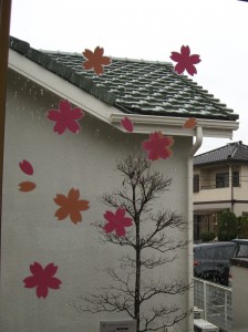 コンタクトレンズ室桜の花びら (4)